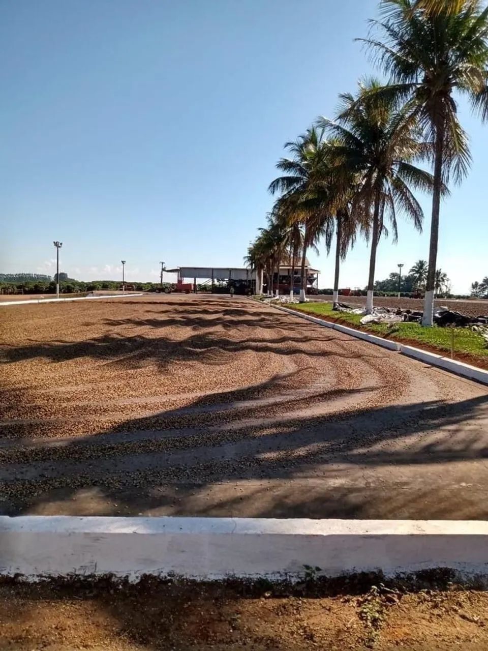 Chácara à venda 1333000M², Centro, Piumhi - MG - Foto 3