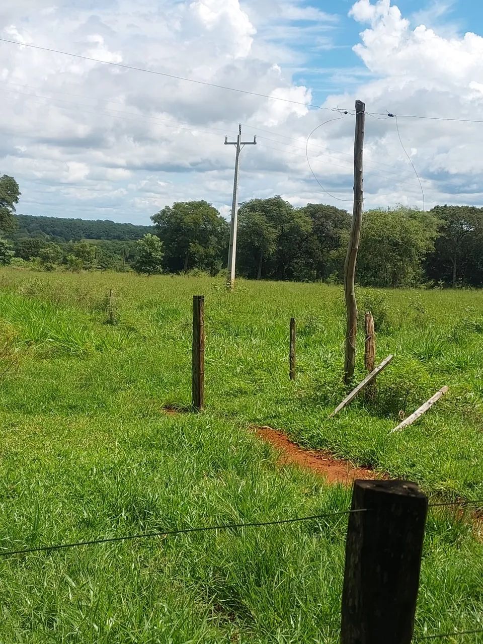 Chácara 85 hectares próxima a sidrolandia  - Foto 2