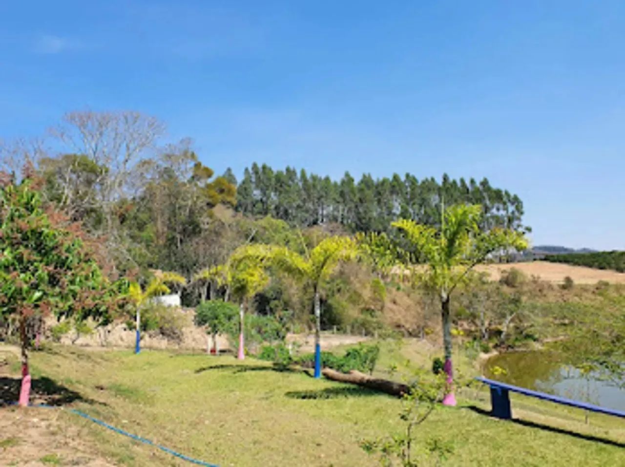 Sítio em Rodovia Engenheiro Constâncio Cintra - Área Rural de Itatiba - Itatiba/SP - Foto 4