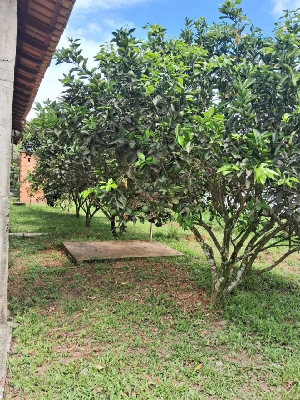 Chácara em Santo Antônio do Tauá  - Foto 3
