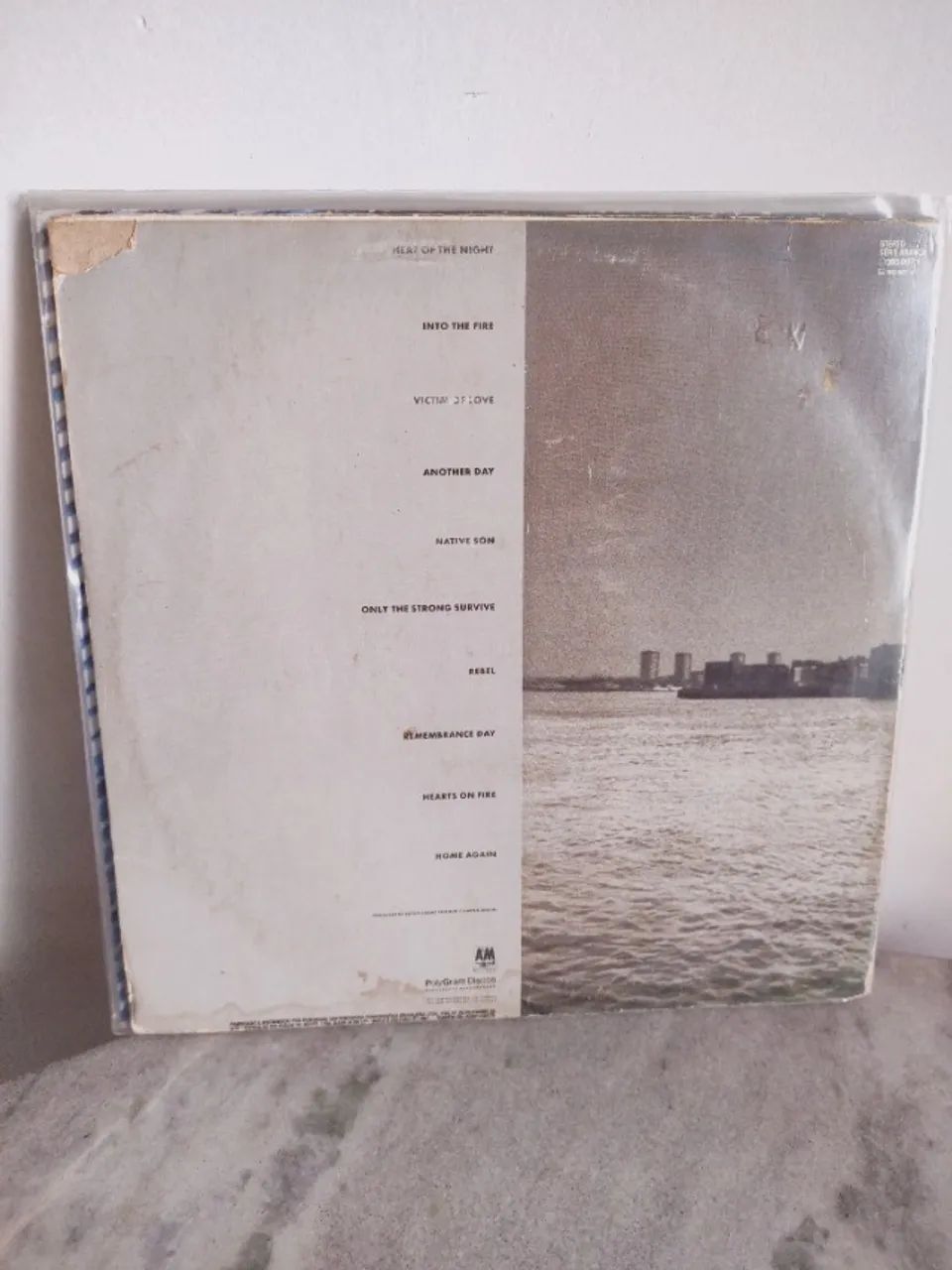 LP Into The Fire, Bryan Adams - Foto 2