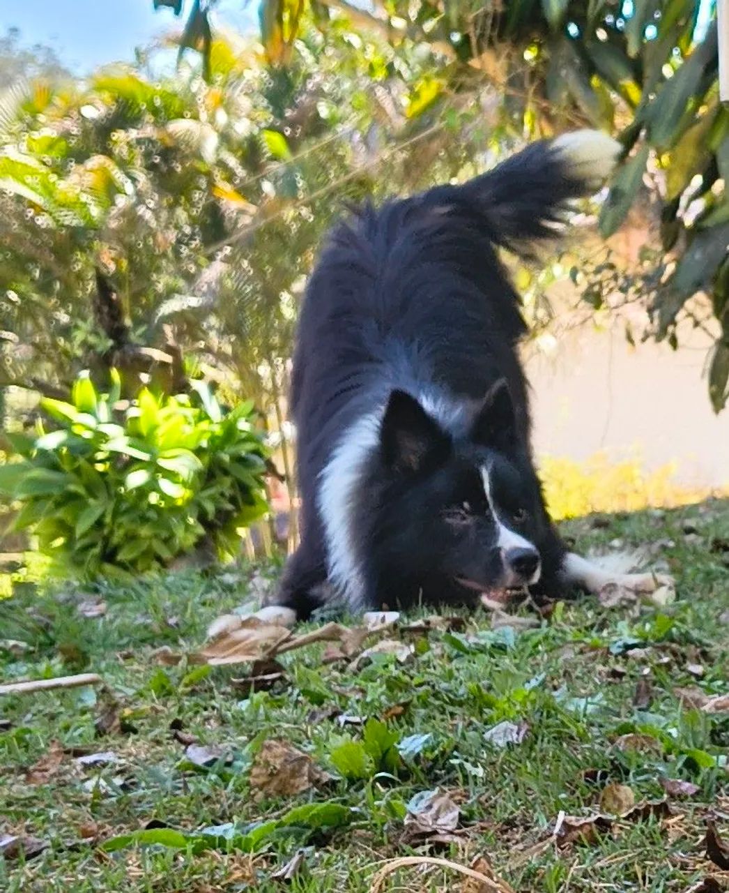 Troca  - Foto 4