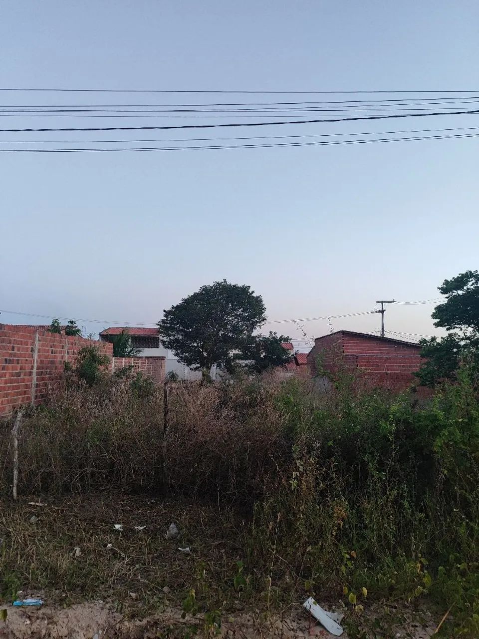 Lotes de terreno 7X20