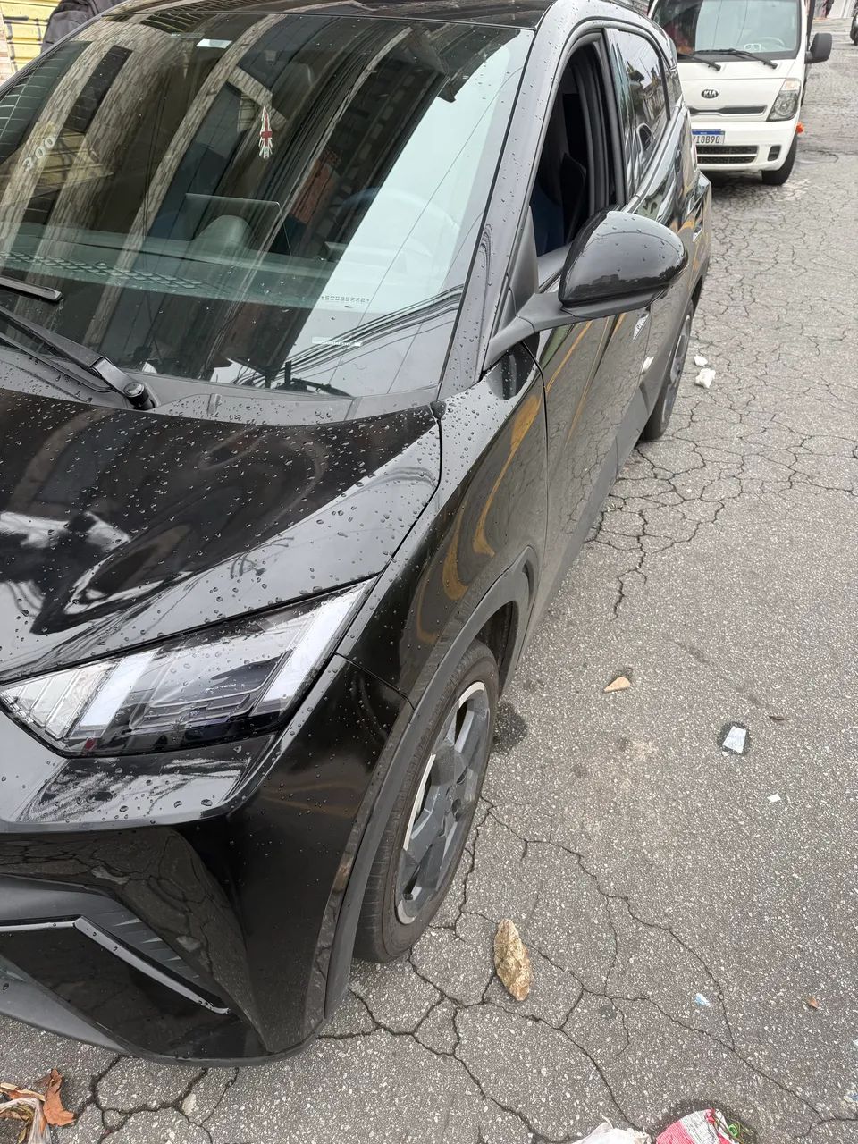 BYD BYD Mini (Elétrico)