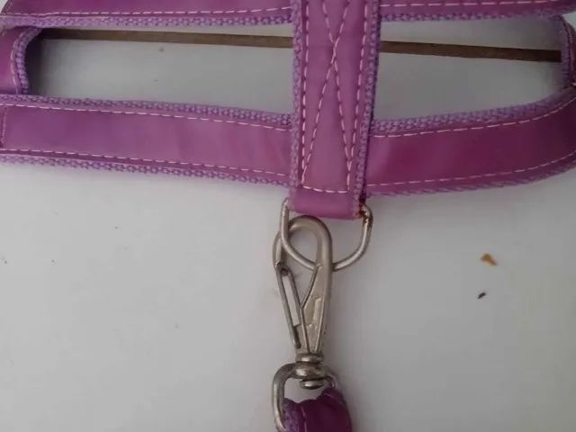 Coleira mais guia para cachorros de grande porte R$ 10,00 - Foto 5