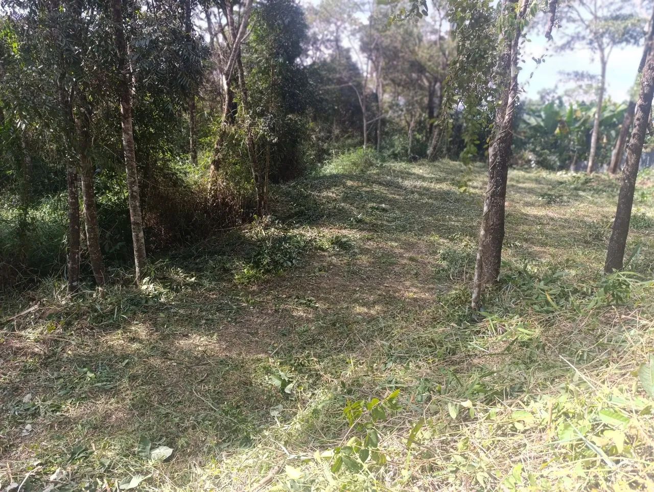 Terreno 1000 M² - Foto 3