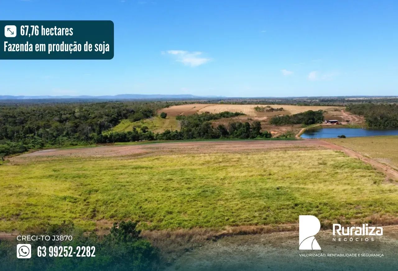 45 HA AGRICULTÁVEIS | NASCENTES | R$ 2,52 MILHÕES