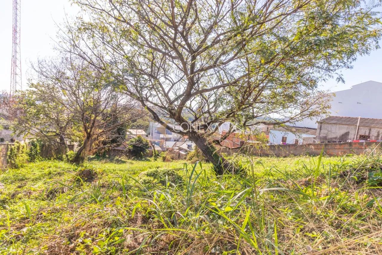 terreno - Parque Jambeiro - Campinas - Foto 5