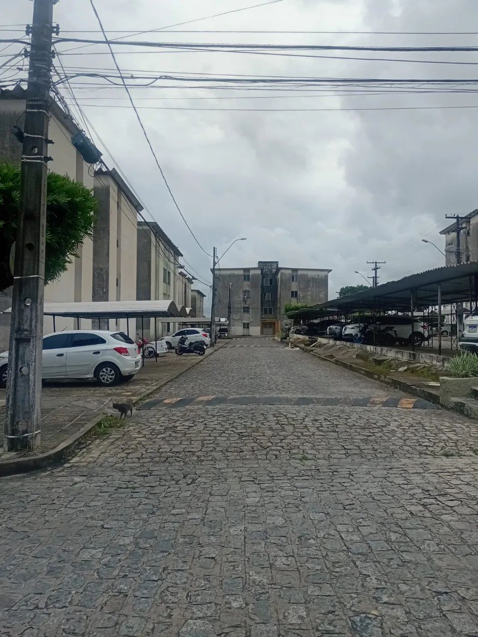 Alugo apartamento 3 quartos no condominio Artemisia