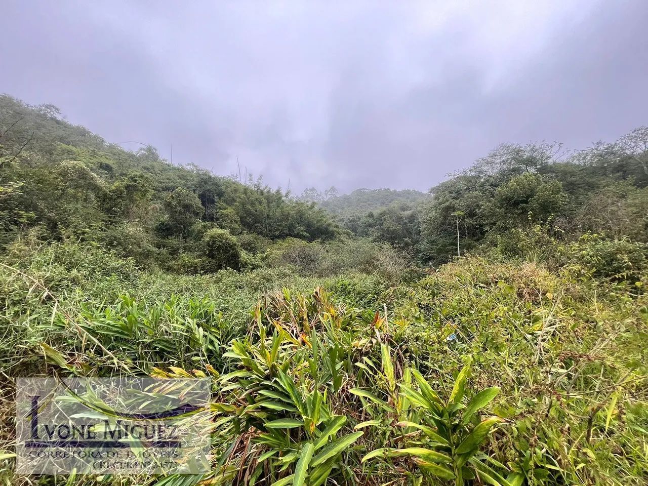 Terreno em Cinco Lagos - Mendes - Foto 3