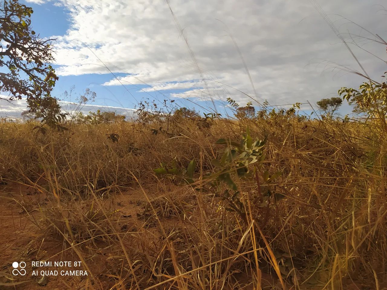 Venda  - Foto 4