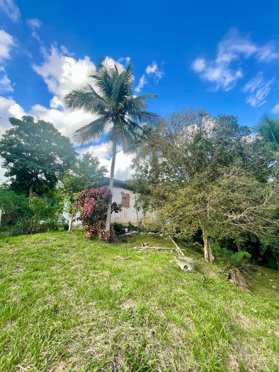 Sítio no Mendanha Campo Grande  - Foto 3