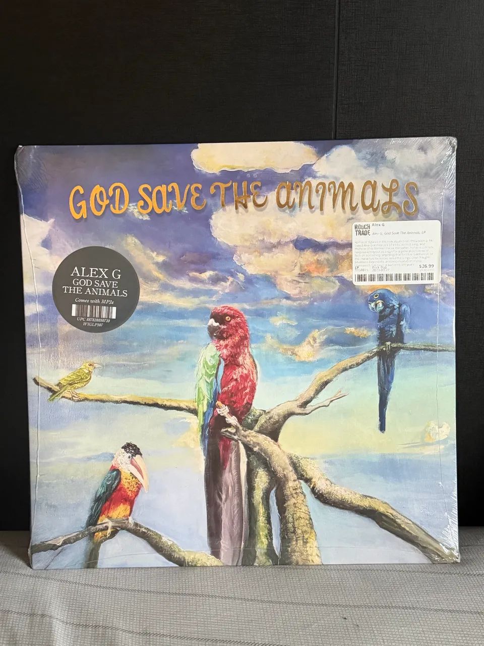 Alex G - God Save the Animals (Disco de Vinil)