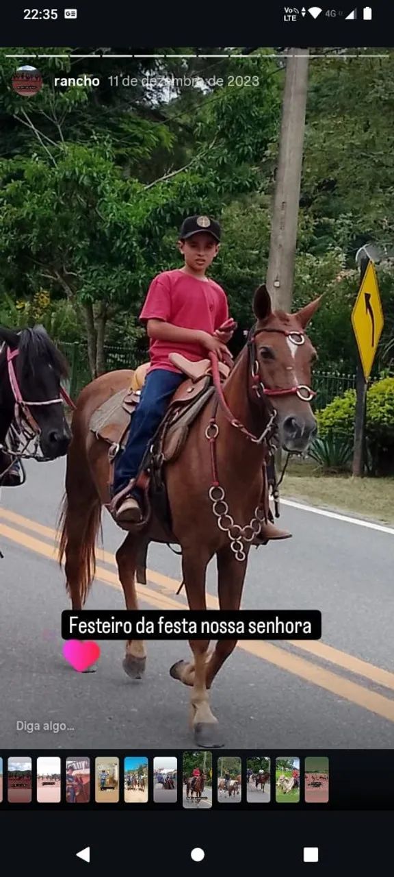 Vendo égua marcha picada  - Foto 3