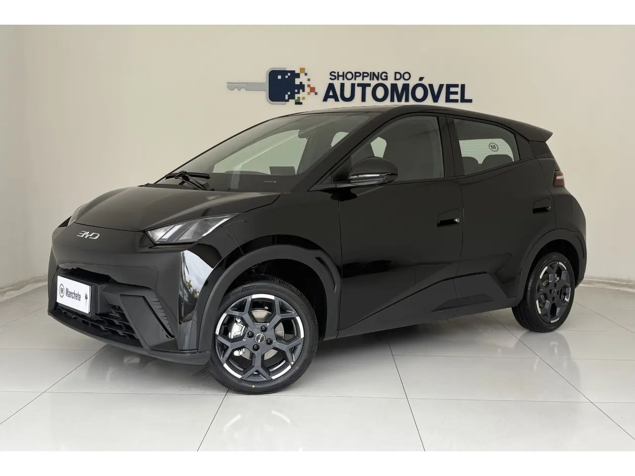 BYD Dolphin Mini (Elétrico) 2027