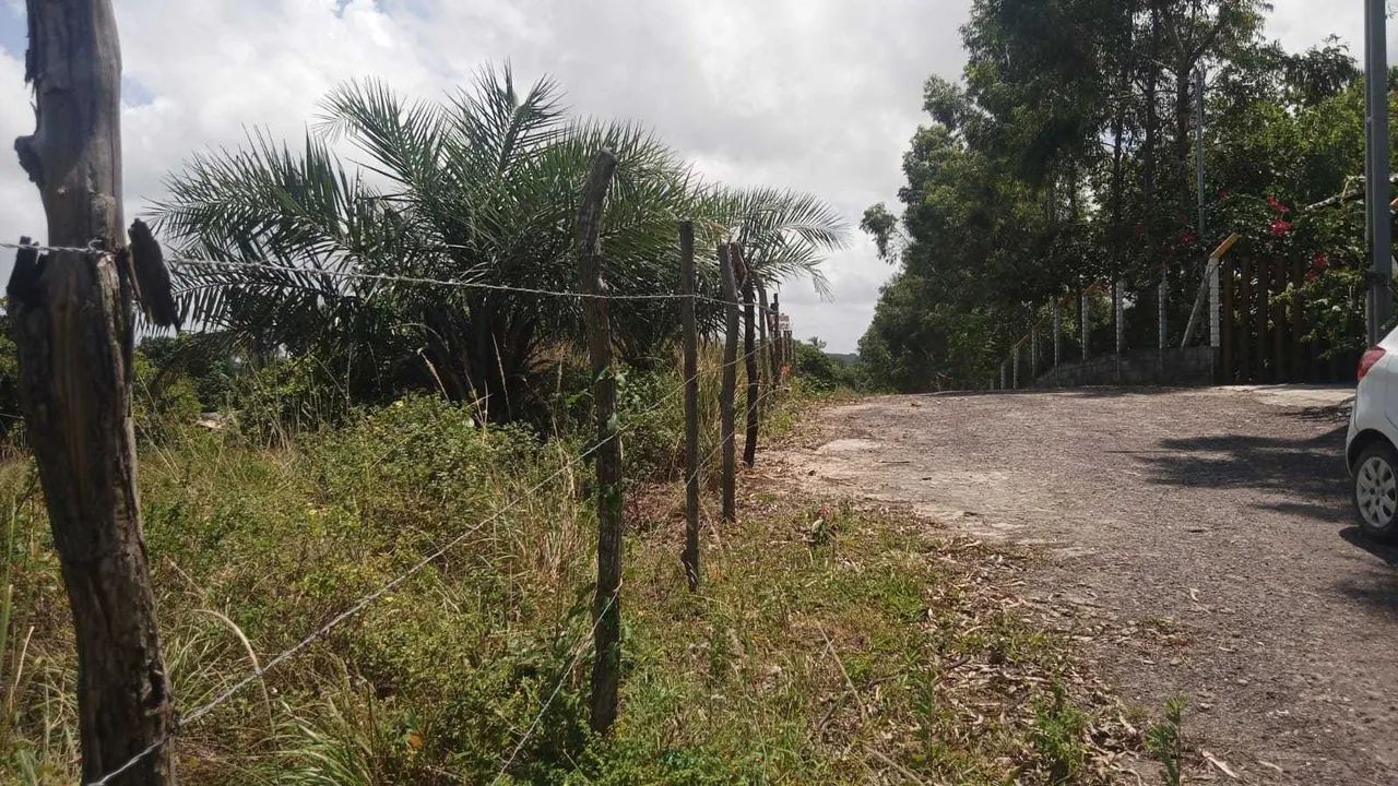 TERRENO NO POVOADO SÃO JOSÉ [60374] - Foto 3