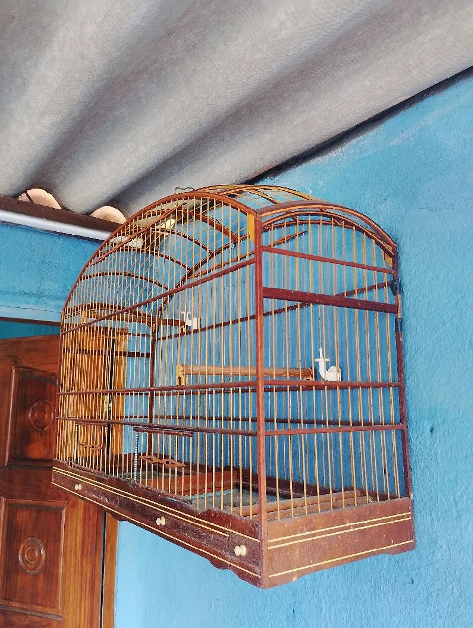 Gaiola - Foto 2