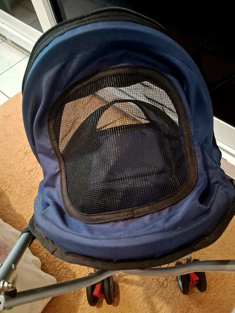 Lindo carrinho PET para gatinhos e cachorrinhos  - Foto 4