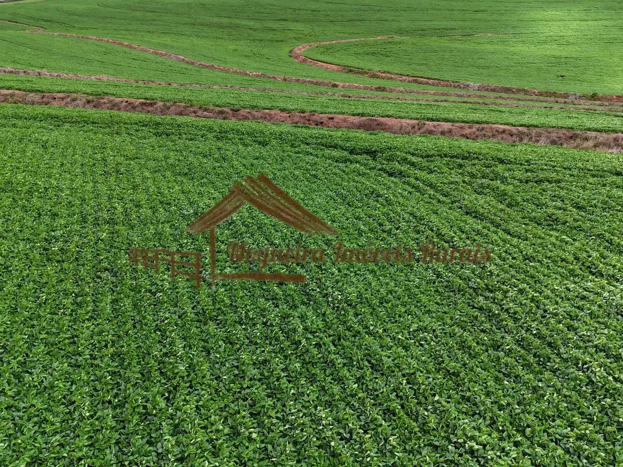 Fazenda com 100 alqueires em Avaré-SP - Foto 3