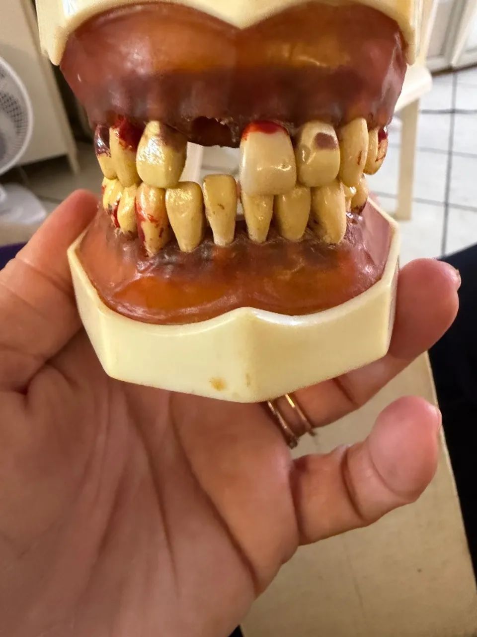 Manequim dentário modelo F2 - Foto 3