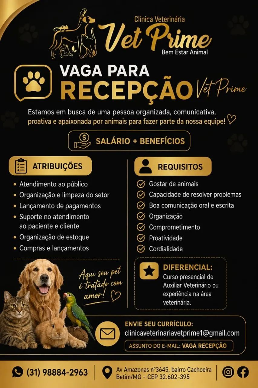 Vaga Recepção 