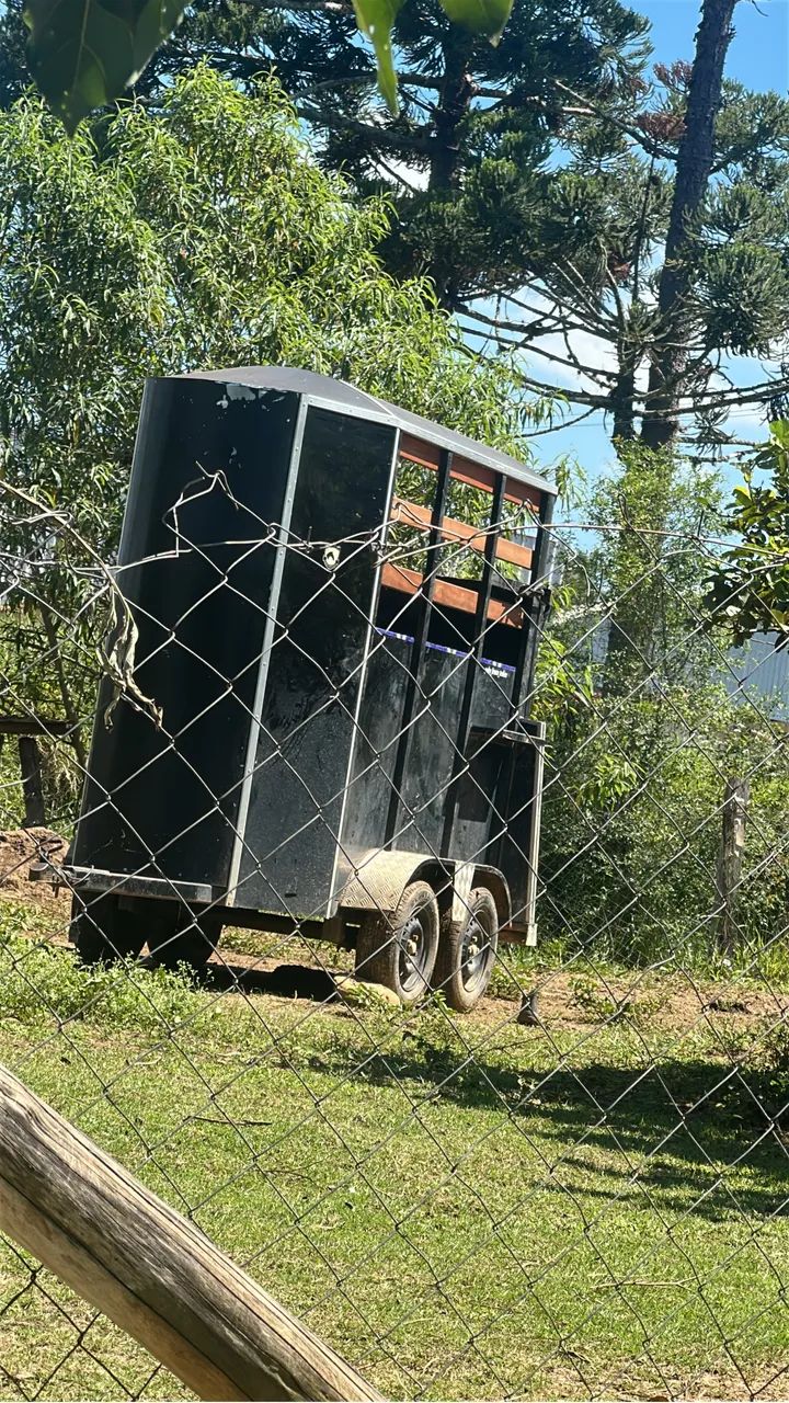 Trailer um cavalo