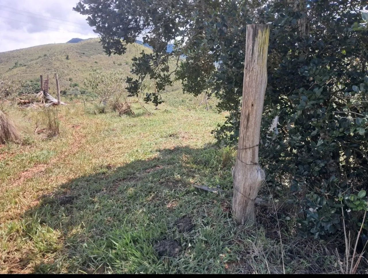 Foto - Pindamonhangaba - Jardim Boa Vista