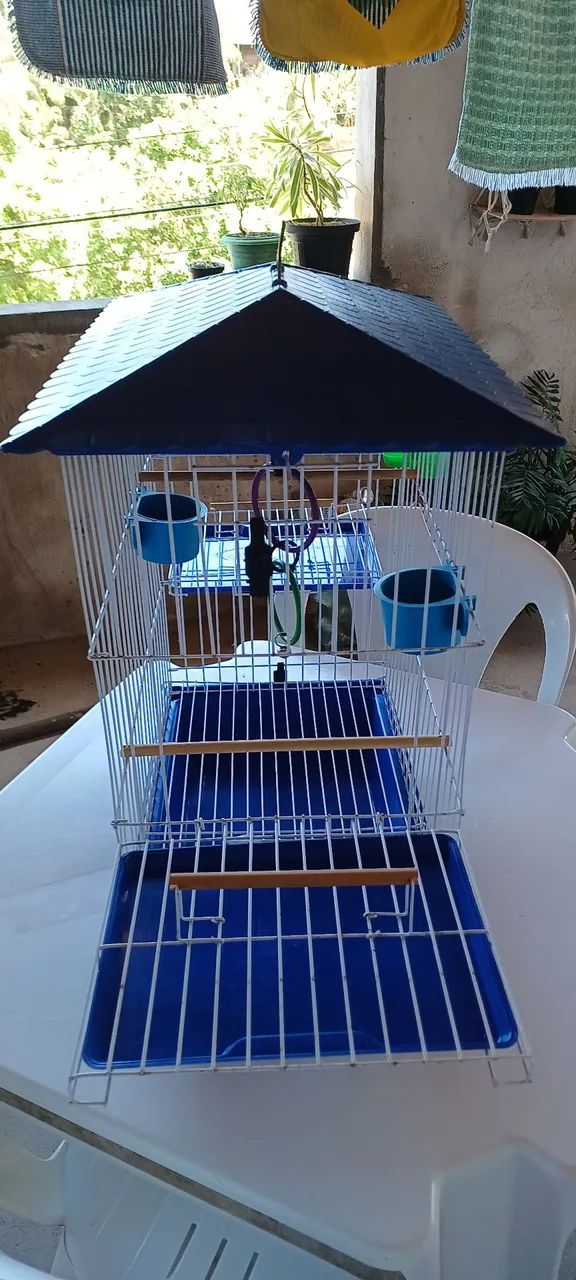 Gaiola p/ Calopsita ou Piriquito Mansa Luxo - Vivopet - Azul - Foto 5