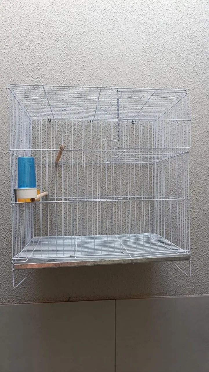 Gaiola  - Foto 2