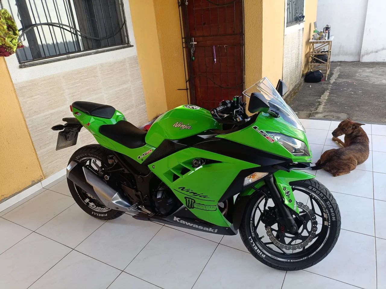 Ninja 300