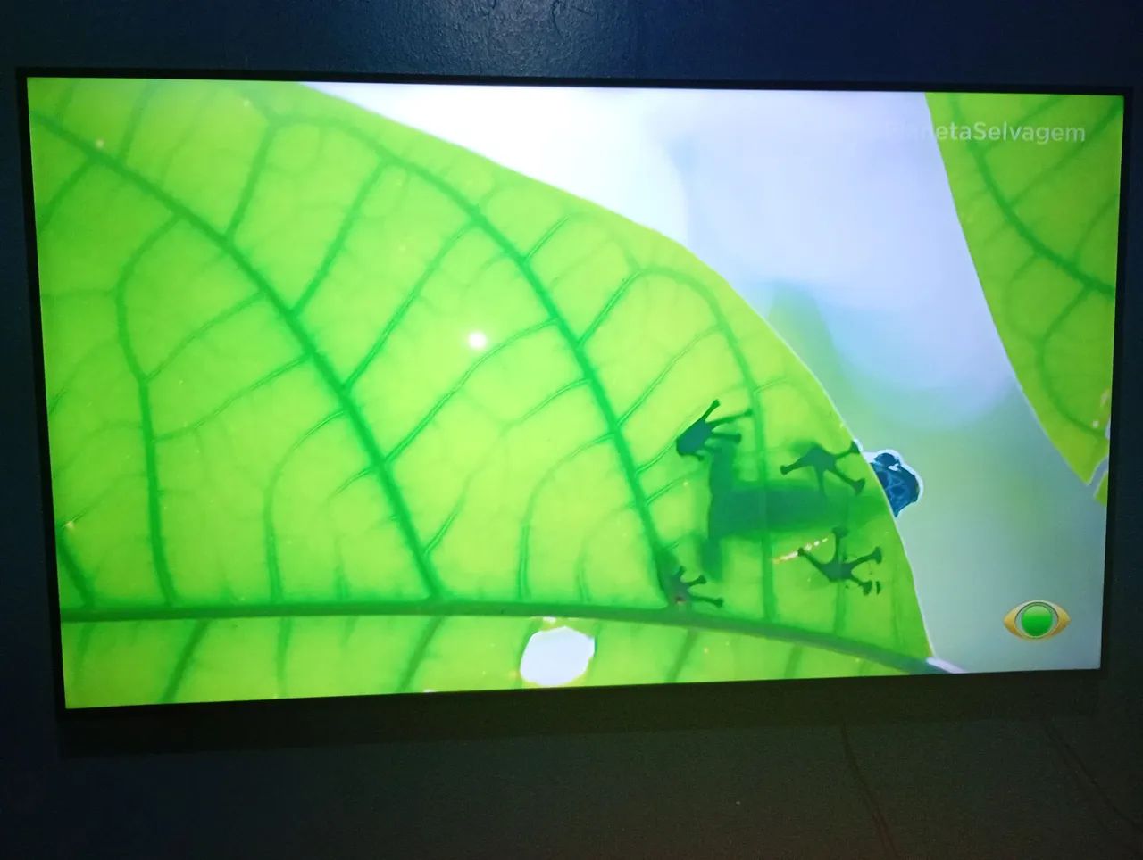 Samsung 55  - Foto 2
