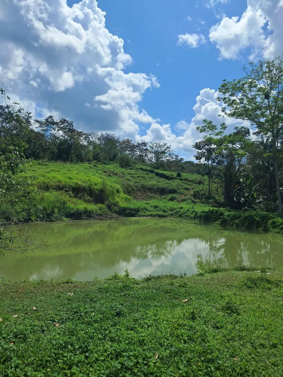Chácara  - Foto 2