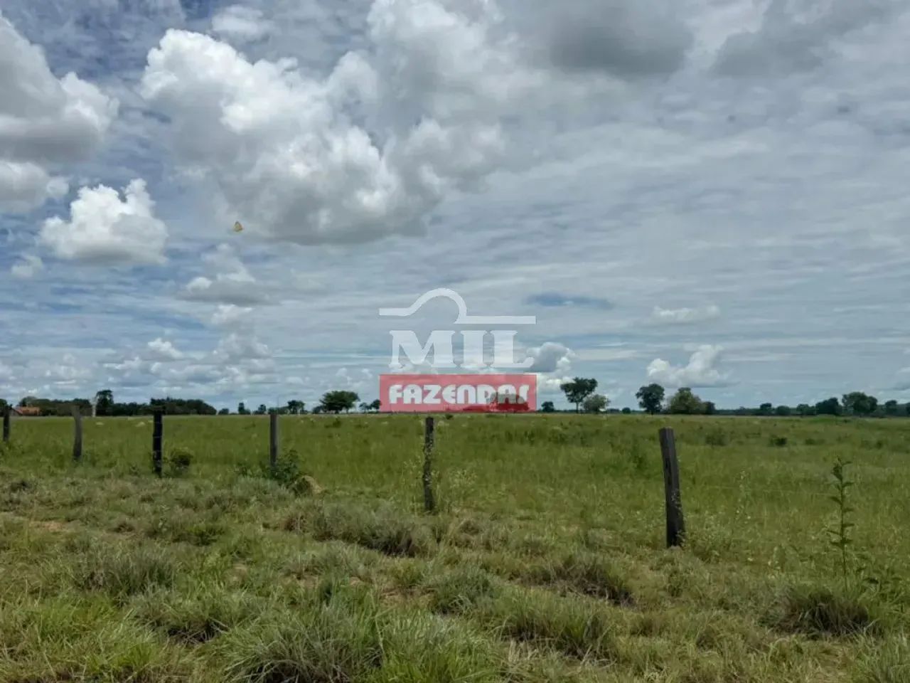 Fazenda 350 alqueires (1.694 hectares) Araguaçu - To - Foto 4