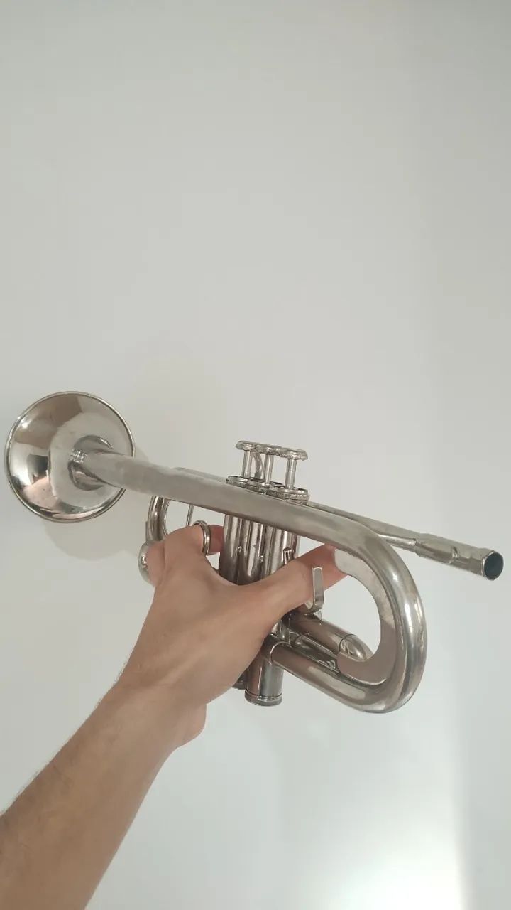 Instrumentos  - Foto 3