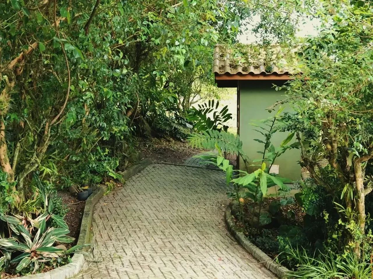 Casa Frente Mar Com Terreno com 16.236m2 - Praia da Pinheira - Foto 5