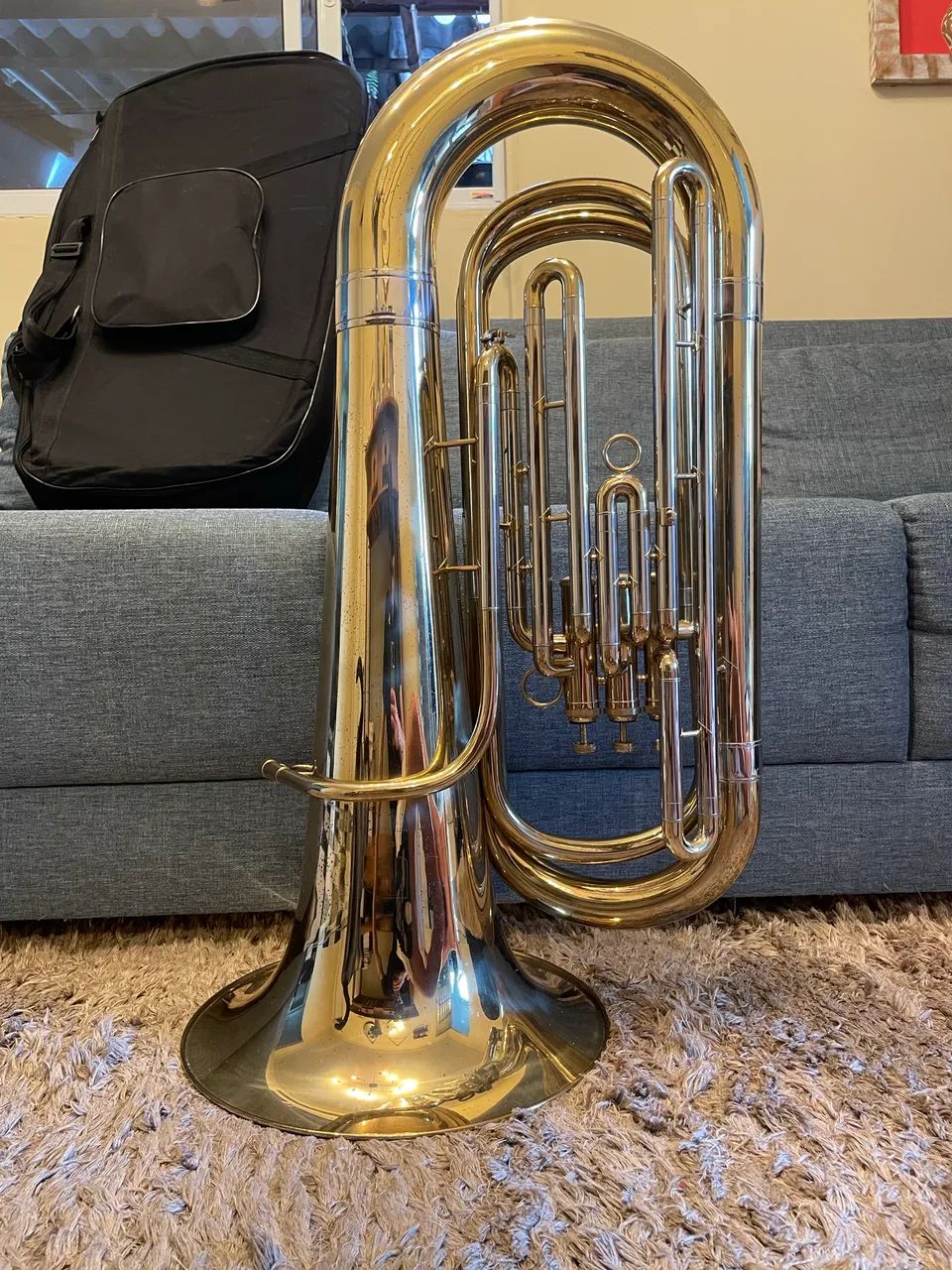 Tuba Dolphin 3/4