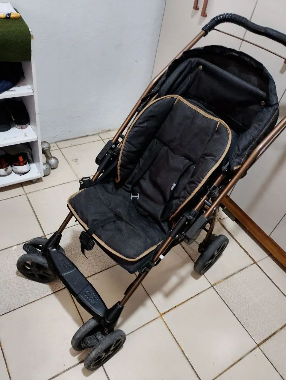 Vendo carrinho Burigotto