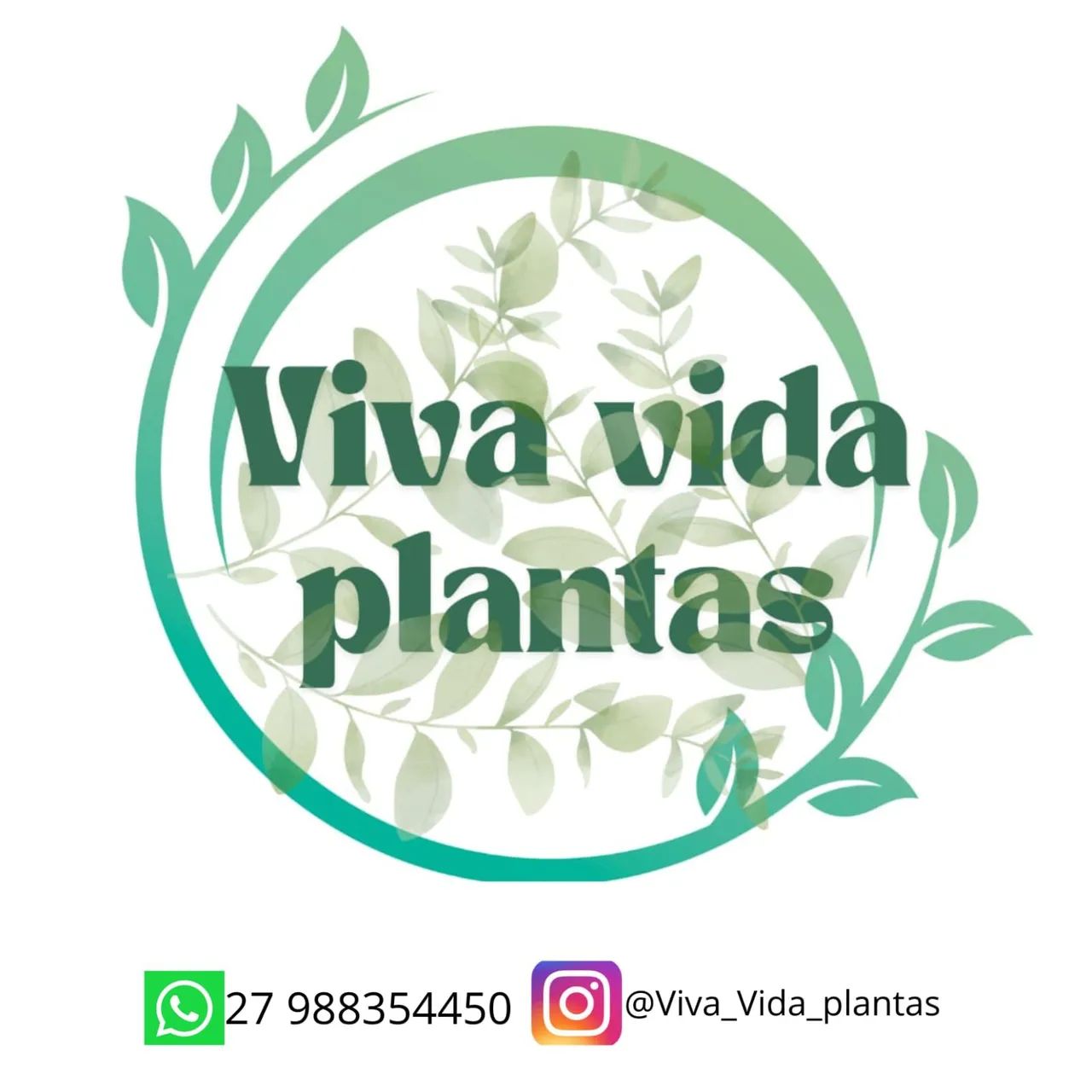 Jardim, paisagismo projetos consultoria 