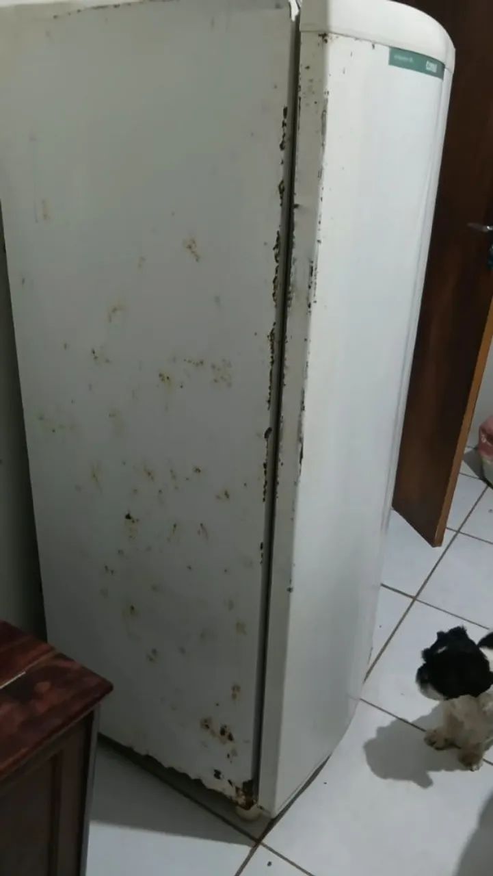 Geladeira consul