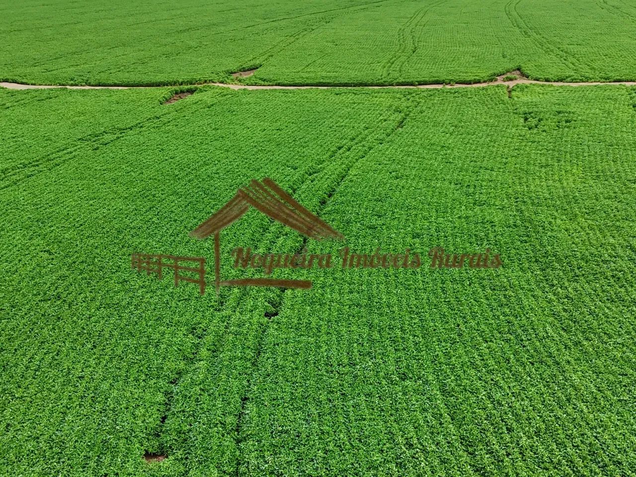 Fazenda com 100 alqueires em Avaré-SP