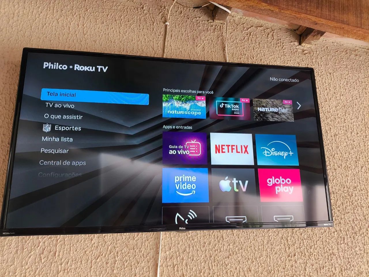 TV 