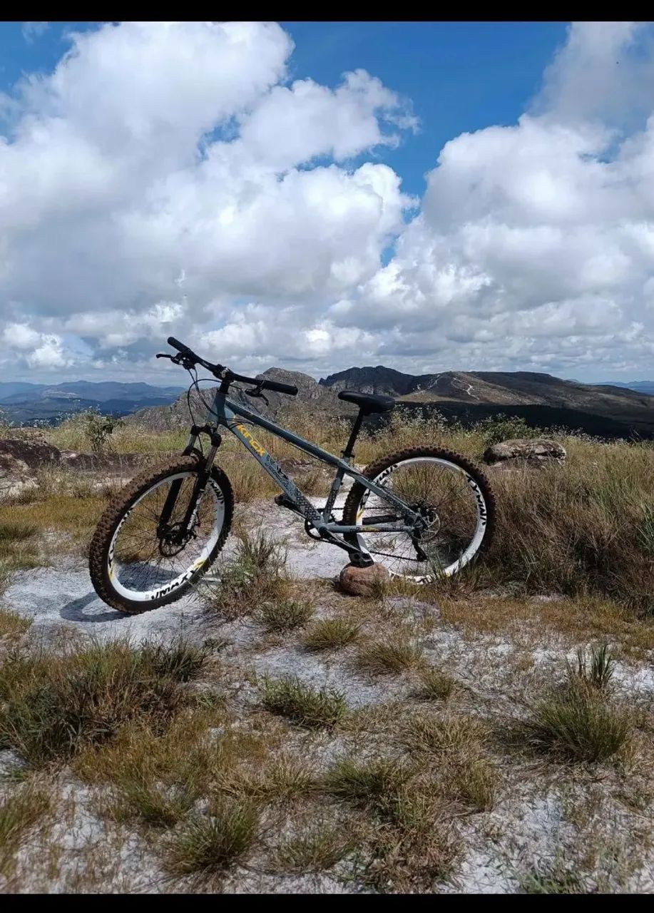 Bicicleta vikingx freeride