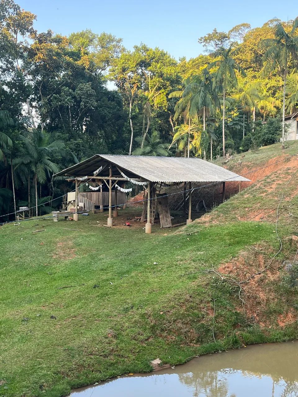 Vendo sítio - Foto 2