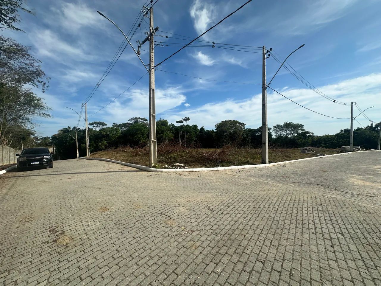 Foto - Coqueiro Seco - 