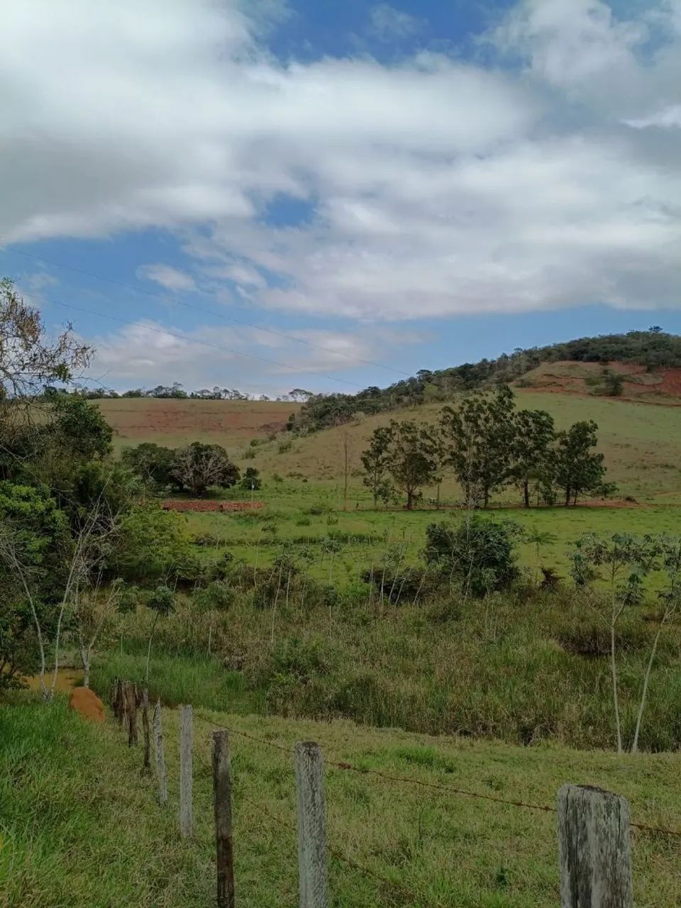 sítio 19 hectares  - Foto 4