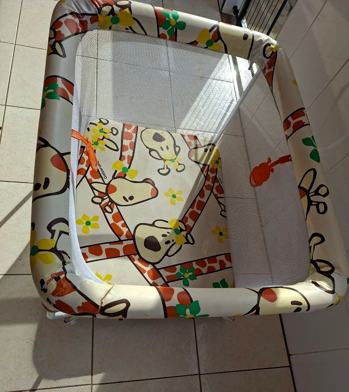 Chiqueirinho Galzerano - Foto 2