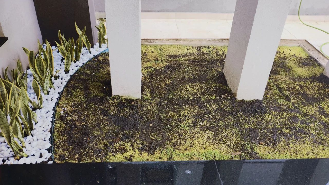Manutenção em jardim 