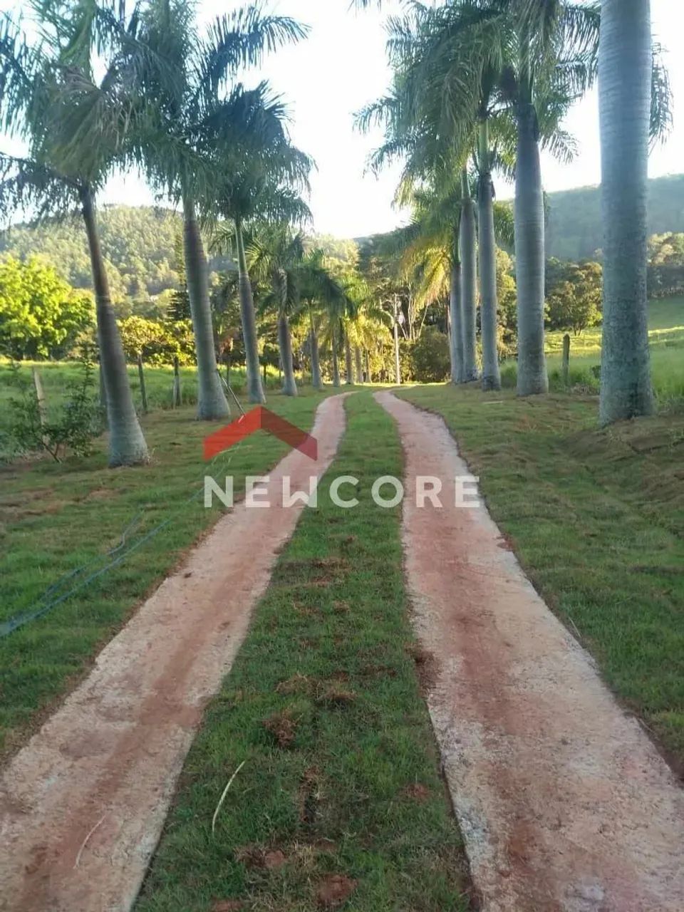 Sítio em Rodovia Engenheiro Constâncio Cintra - Área Rural de Itatiba - Itatiba/SP