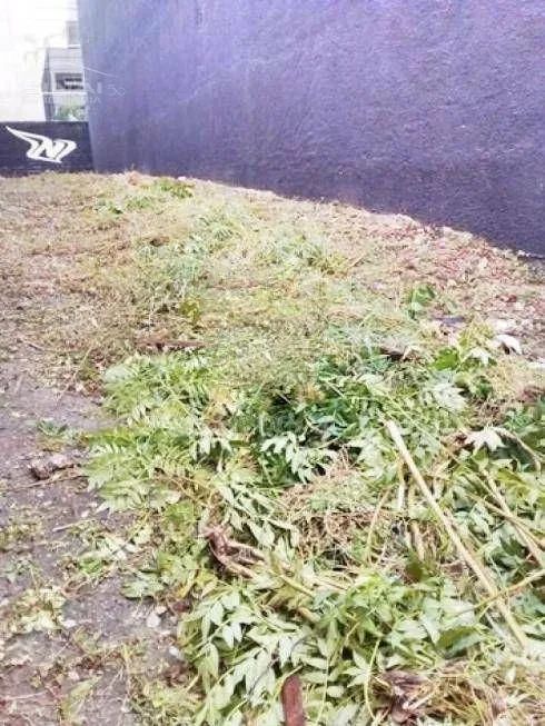 Terreno à venda nos Campos Elíseos - Foto 5