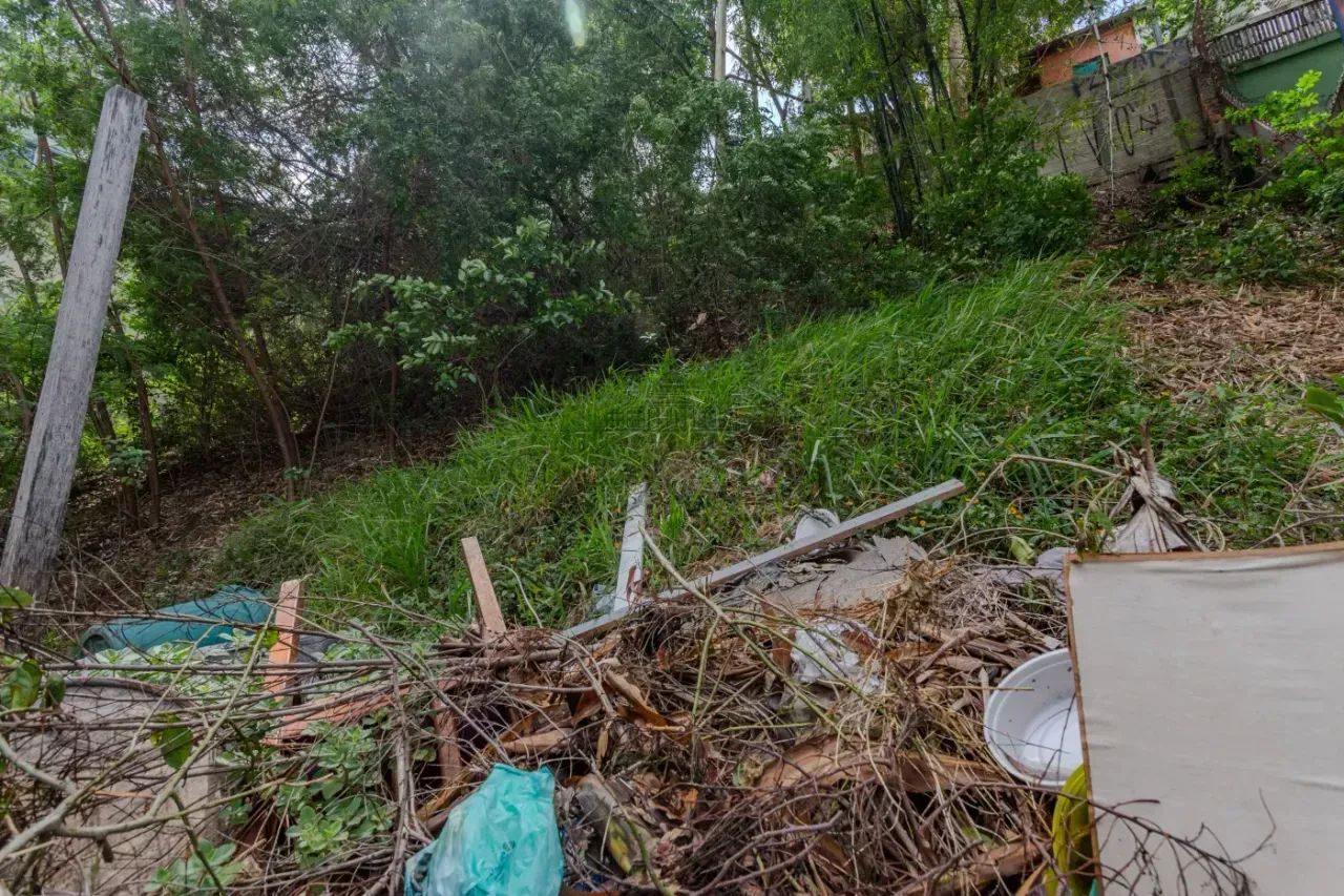Terreno - Pinheiros - 477m² - Foto 4